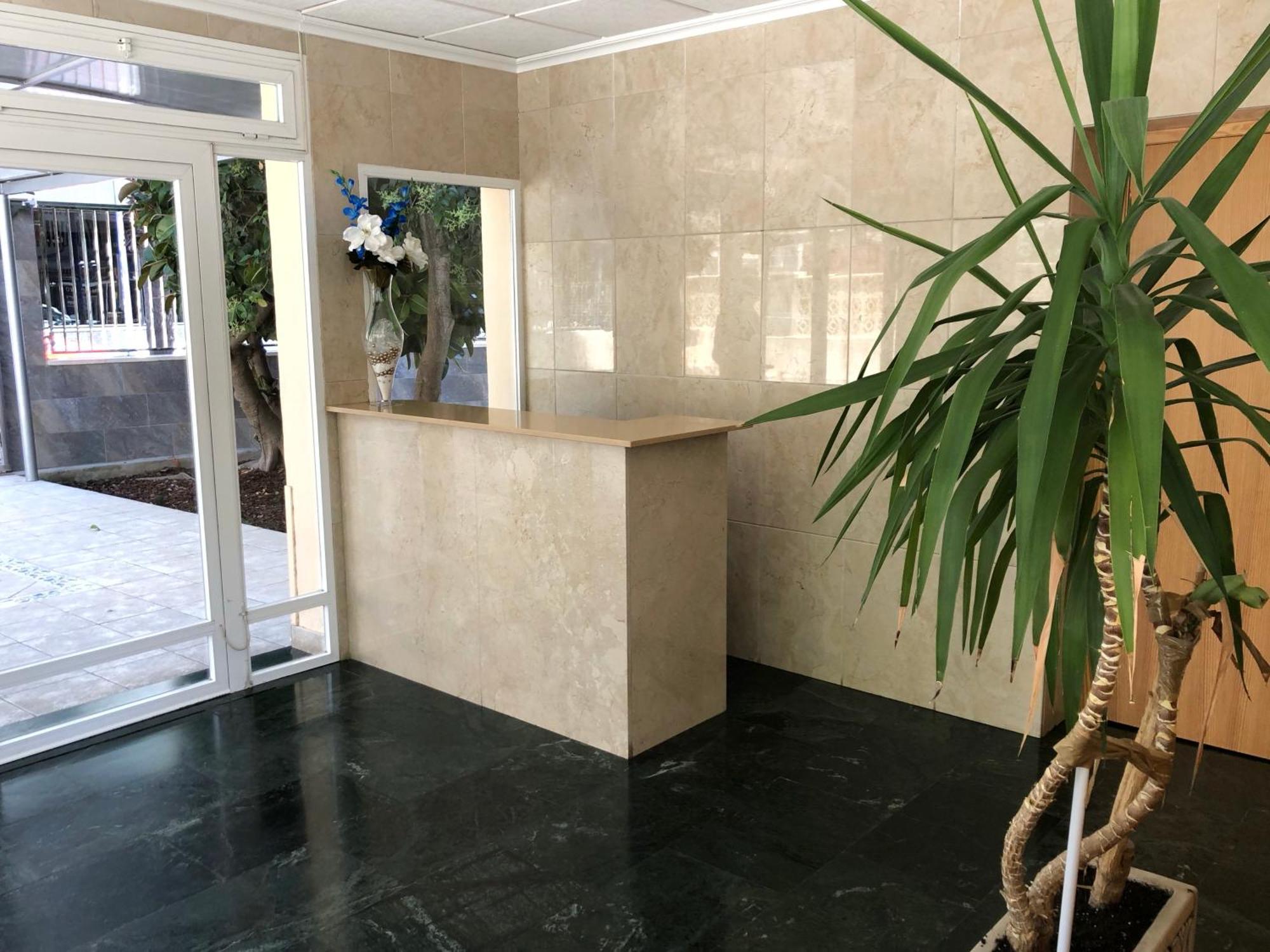 Niza 3B Holiday Apt เบนิดอร์ม ภายนอก รูปภาพ